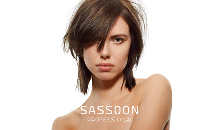 Explore Sassoon Professional hair colour, styling, care products for salon professionals – and get ready to transform your client’s hair ​