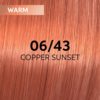Shinefinity Warm Copper Sunset 06/43 60ml