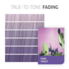 Color Fresh Create Pure Violet 60ml